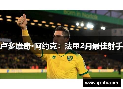 卢多维奇·阿约克：法甲2月最佳射手